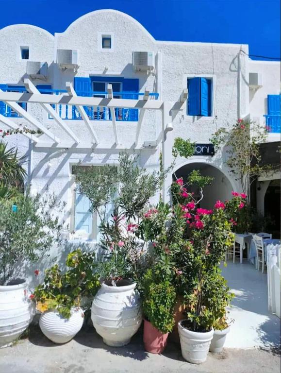 a group of potted plants in front of a building at Villa Dioni in Kamari