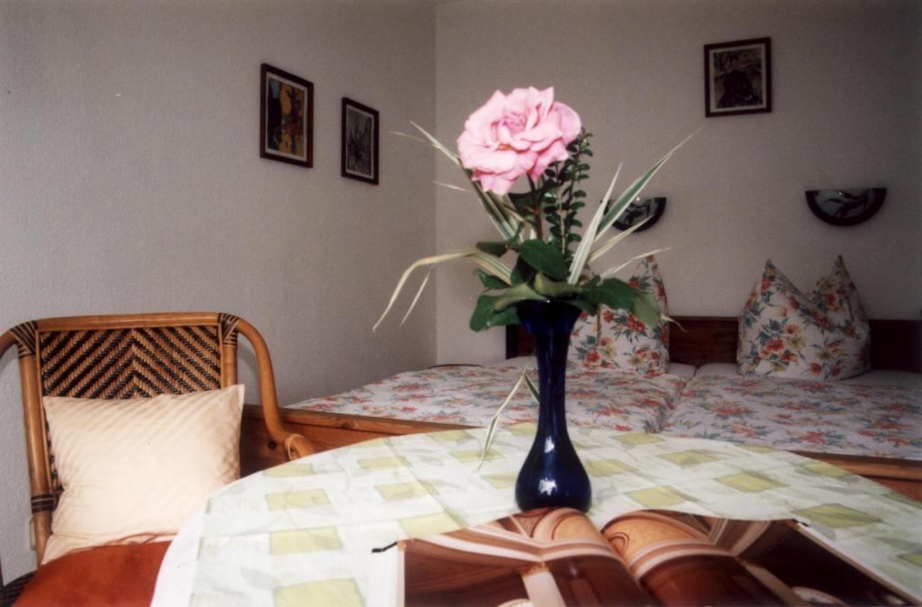 Pension Alter Zausel - 13