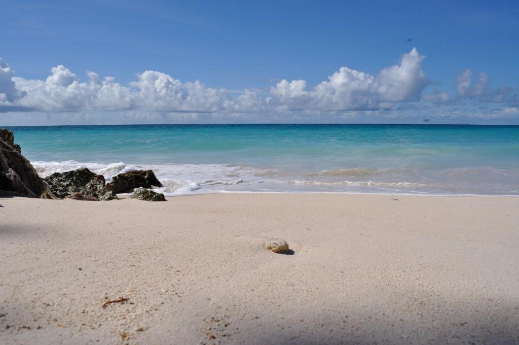 une plage de sable avec l'océan en arrière-plan dans l'établissement Tropical Gecko Studio - Sweet Jewel Apartments, à Christ Church