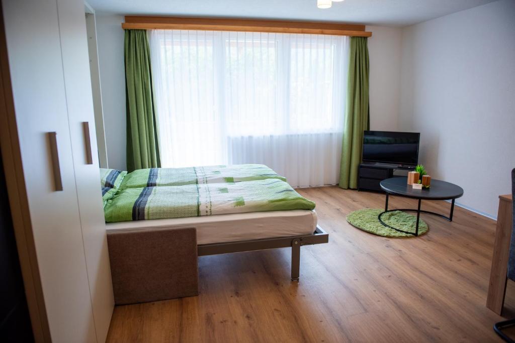 TV a/nebo společenská místnost v ubytování Apartment Moulin