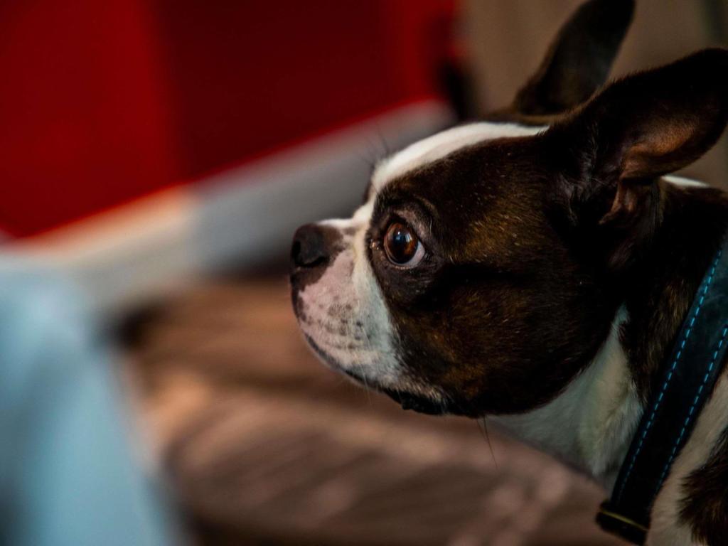 ibis Styles Glasgow Central - Resim 36