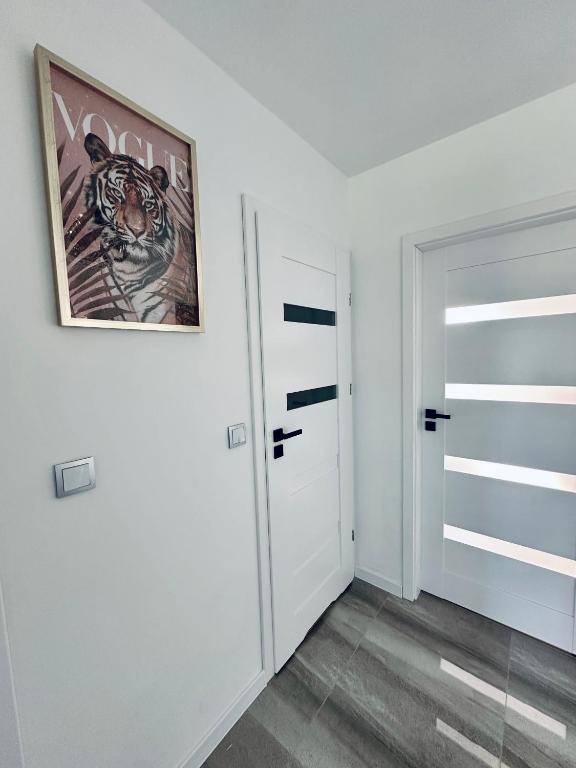 a white room with a door and a picture on the wall at Apartament in Tarnowskie Góry