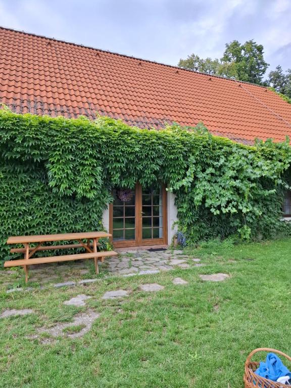 a bench in front of a building covered in ivy at Statek Vranč - stodola in Bítov