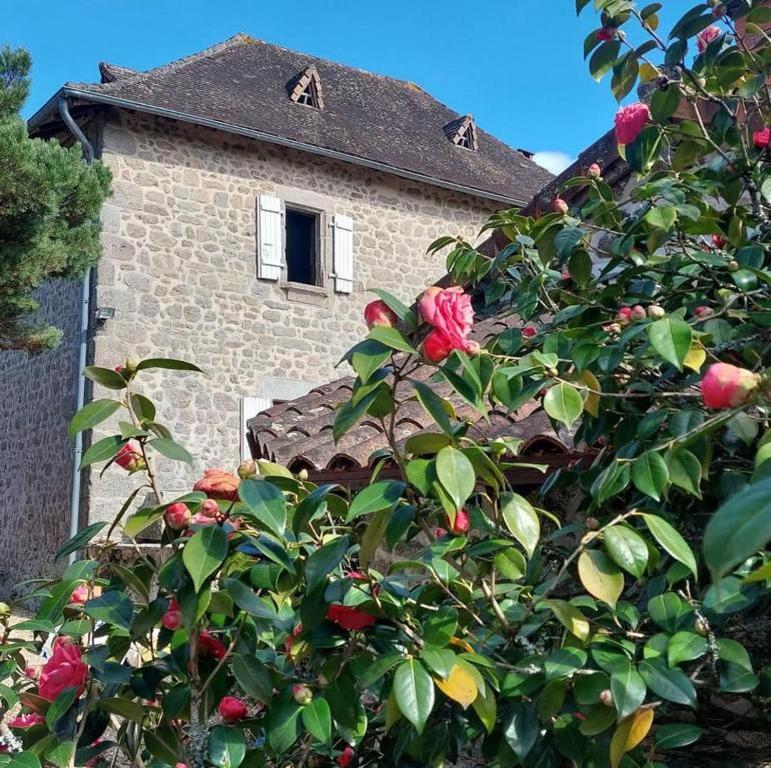 Zahrada ubytování Domaine Le Verger