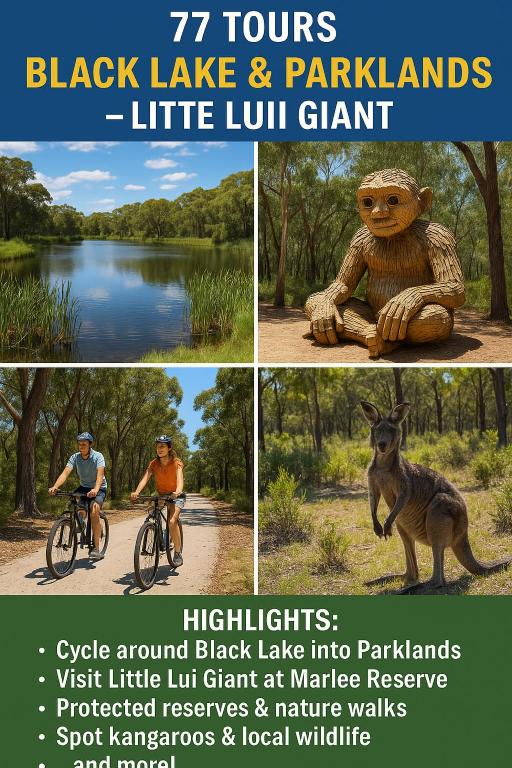 77 International Tourist House