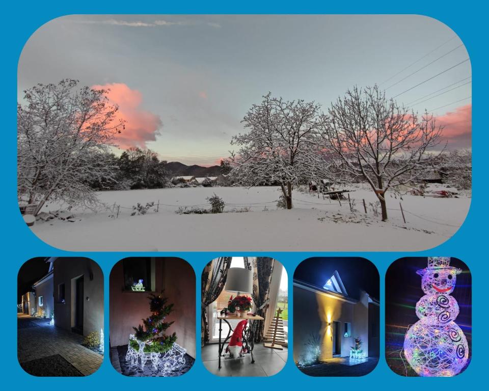 Chez " Les Ligibell " – photo 12