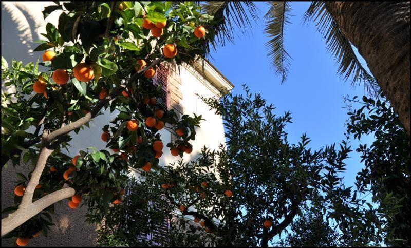 Hotel Lodi - Resim 11