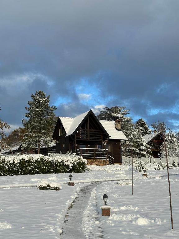 U ozini qozgatdi U ozini qozgatdi