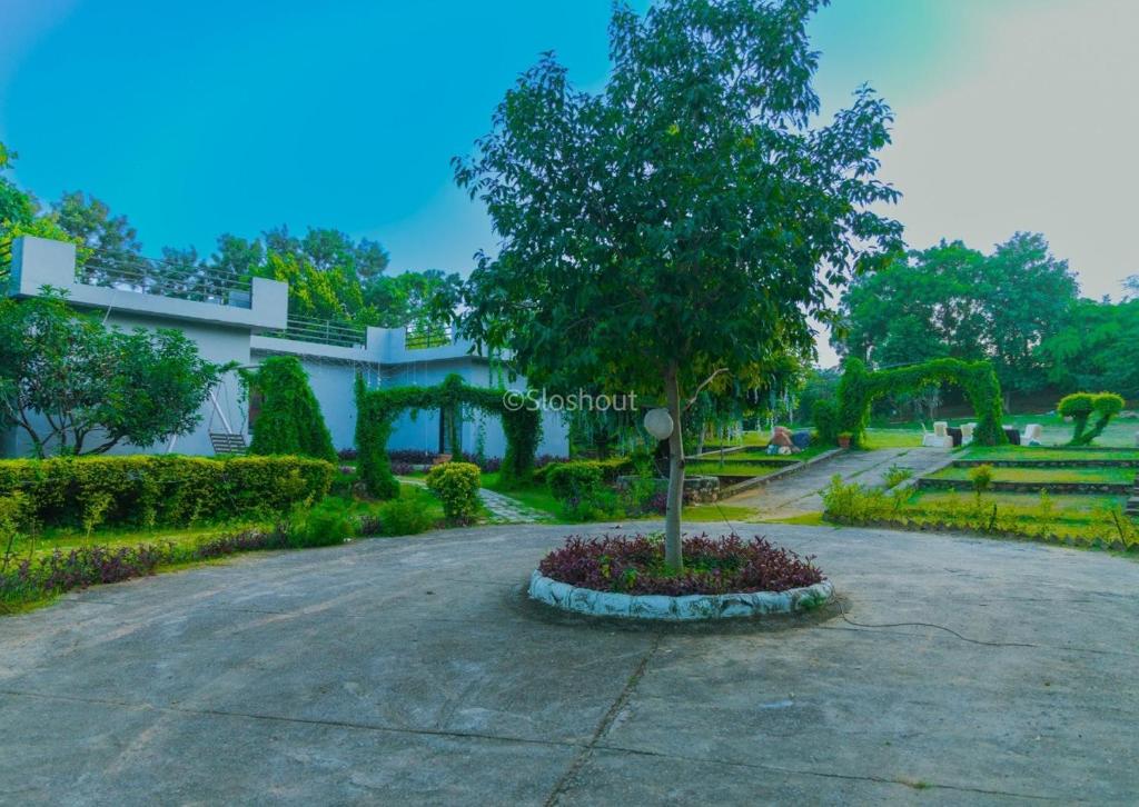 a tree in the middle of a driveway at Niladri farms in Bhundsi