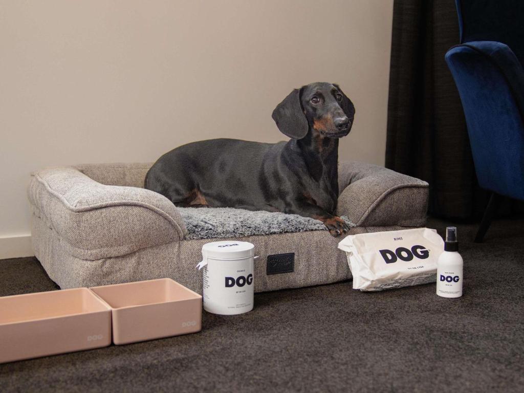 The Sebel Canberra Civic - Resim 10