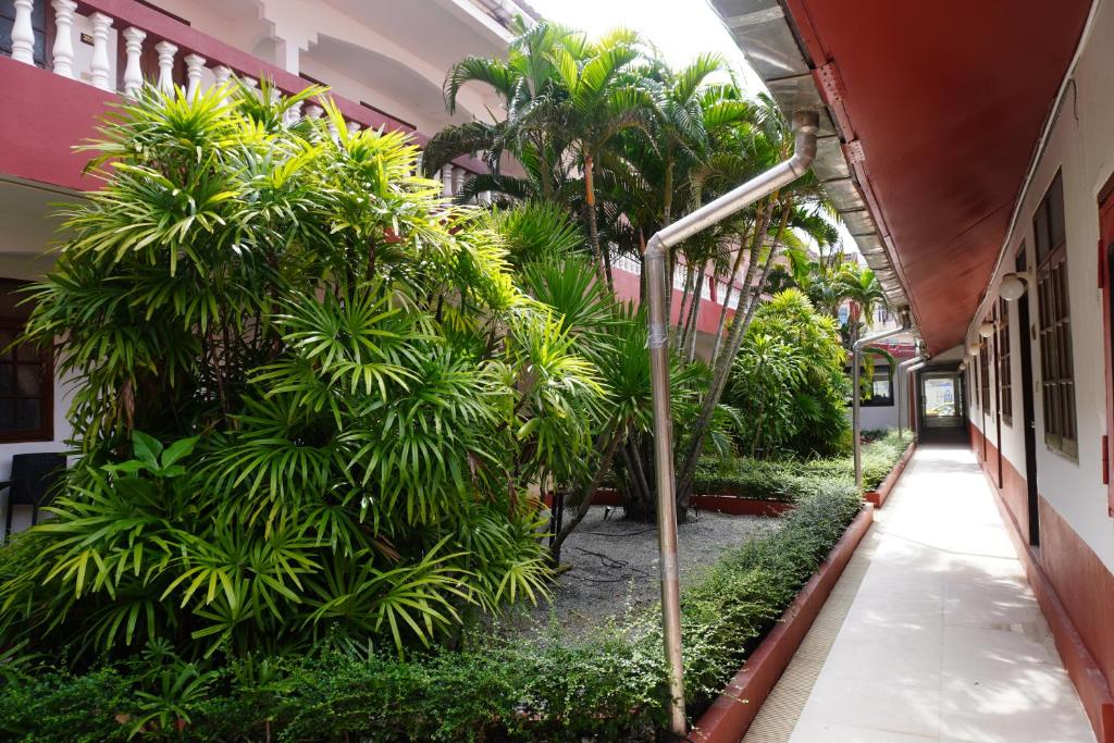 Panda Hotel by Residy - Resim 18