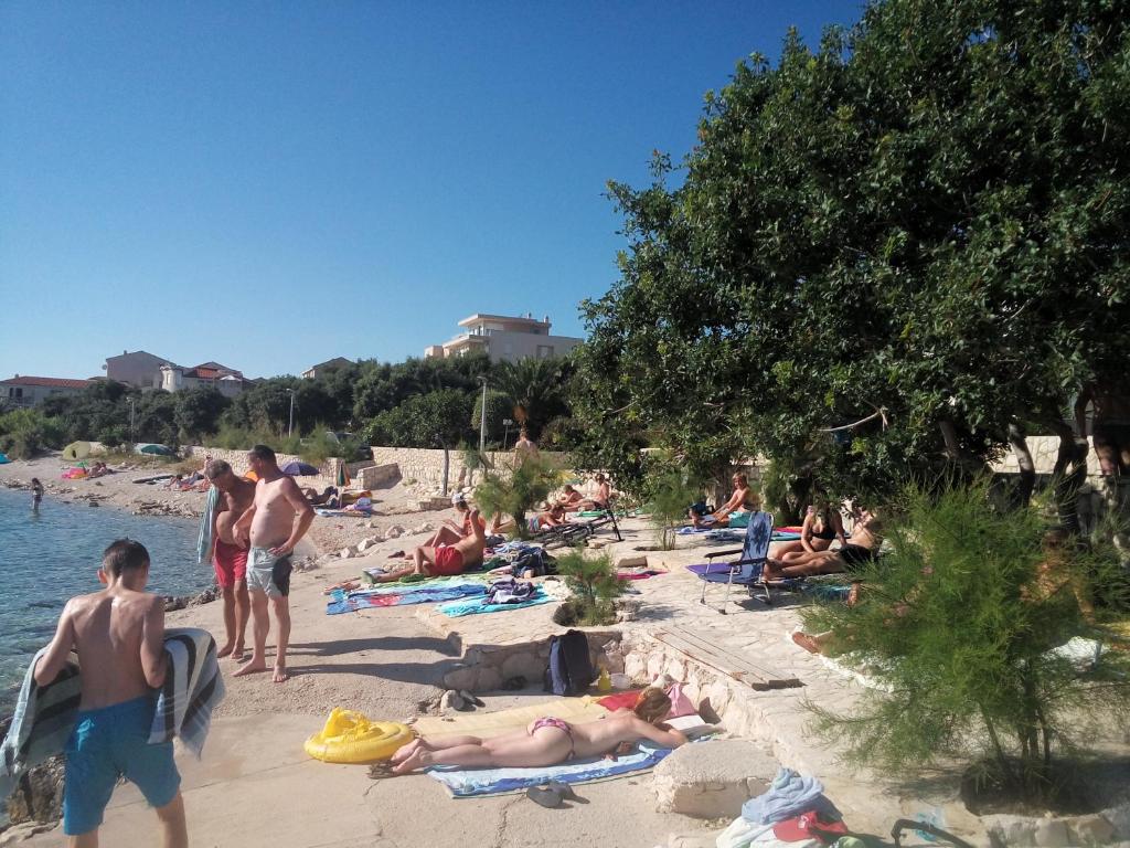 Příroda nedaleko apartmánu