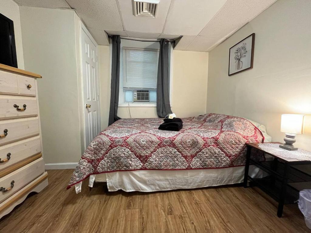 a bedroom with a bed with a cat sitting on it at Cozy Efficiency Room WalktoUHS, near BU Guthrie in Johnson City