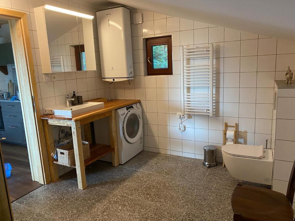 a bathroom with a washing machine and a sink at Rojnik Mountain Farm 