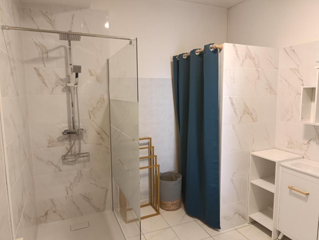 a bathroom with a shower with a blue shower curtain at Cozy apartment, WiFi, garage, quiet city center in Ribérac
