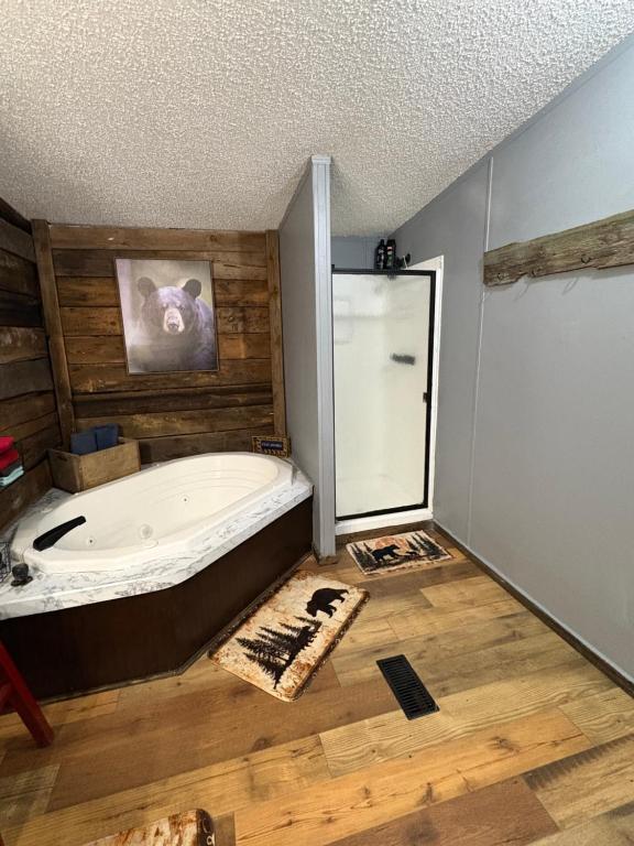 un bagno con vasca da bagno in una stanza di Black Bear Hideaway a Pickens