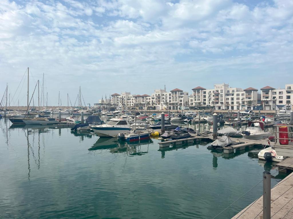 a group of boats docked in a harbor with buildings at marina1 in Agadir