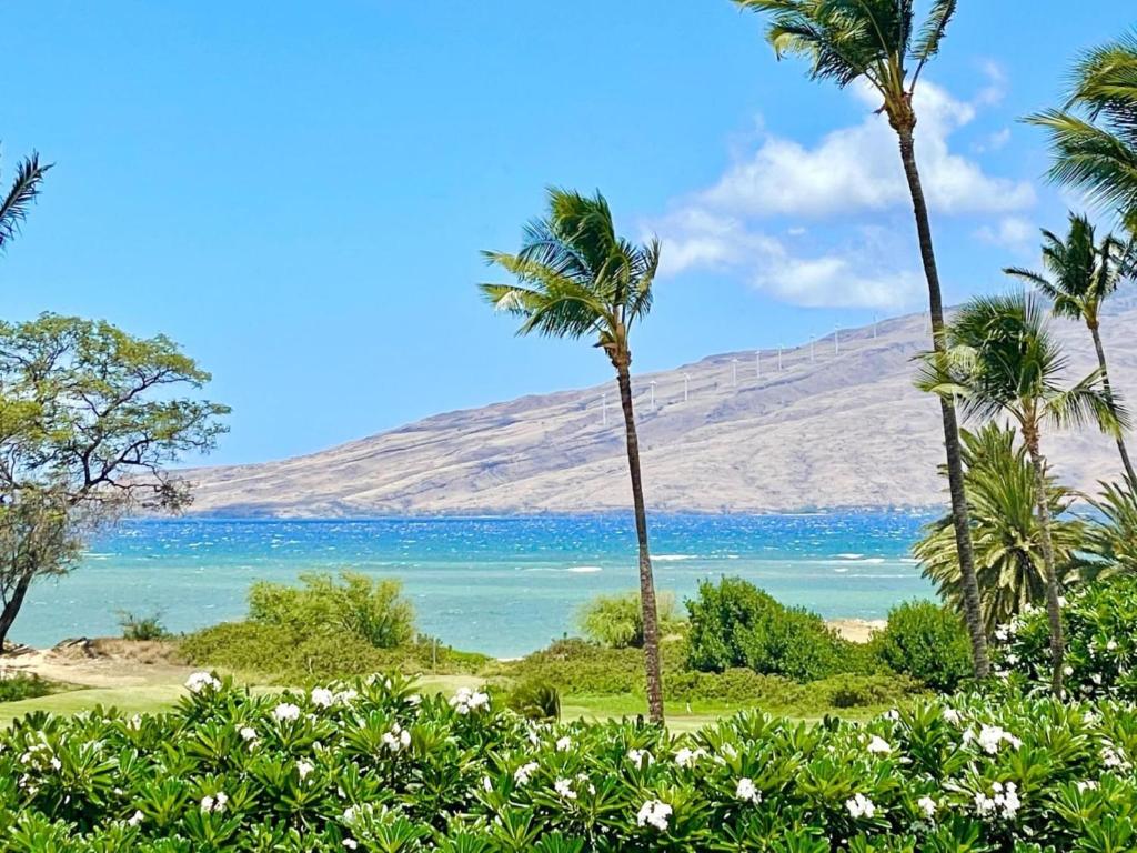 a view of a beach with palm trees and the ocean at Perch - Luana Kai Loft C308 in Kihei