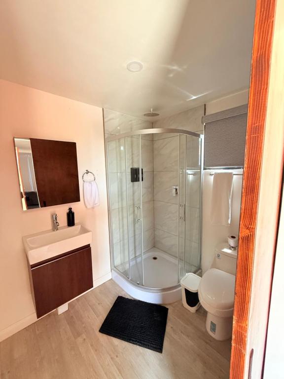 a bathroom with a shower and a toilet and a sink at Cabañas aldebaran cienega redonda 