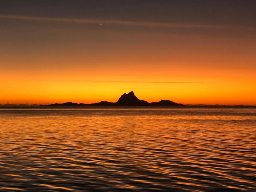 AHARAU lodge, Tapu' amu - photo 8 - Taha’a, Polynésie