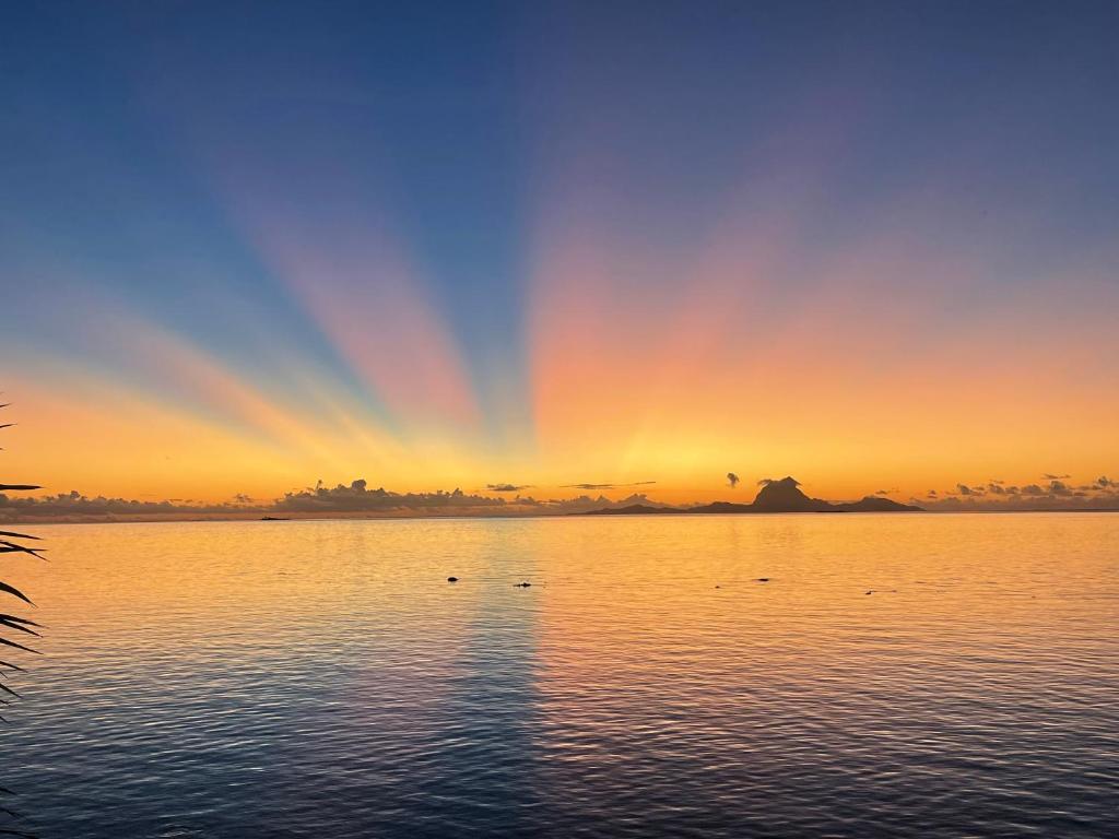 AHARAU lodge, Tapu' amu - photo 7 - Taha’a, Polynésie