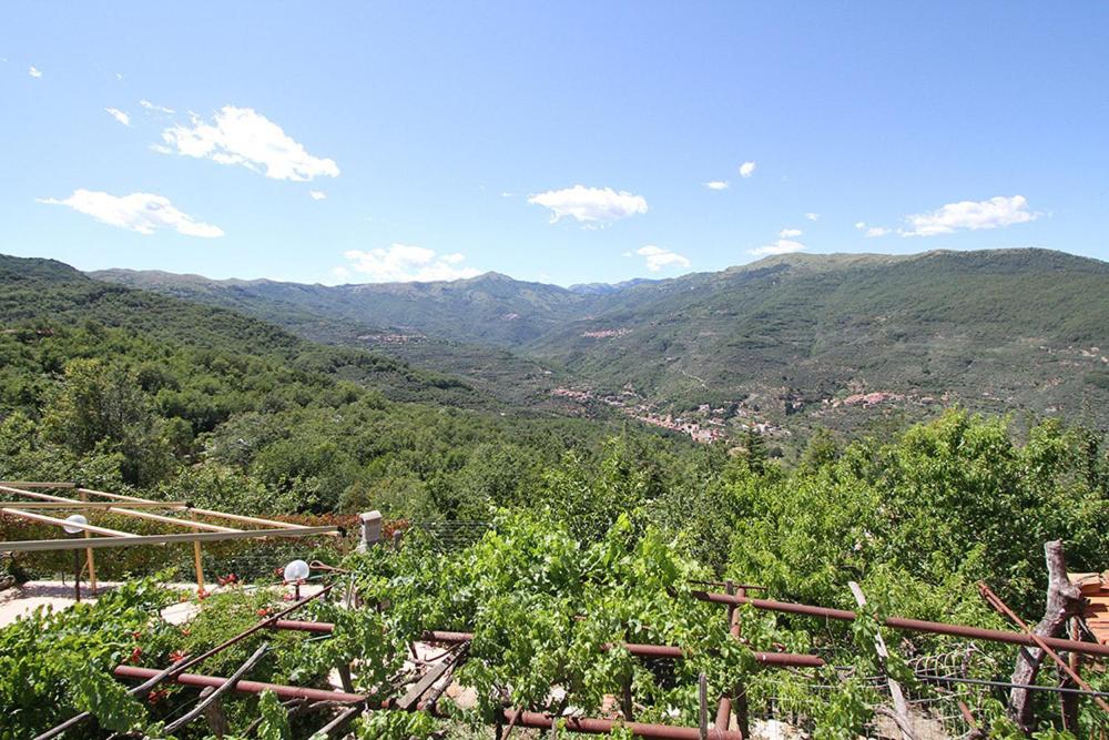 Blick auf ein Tal mit Bäumen und Bergen in der Unterkunft Agriturismo Nonni Devia in Lucinasco