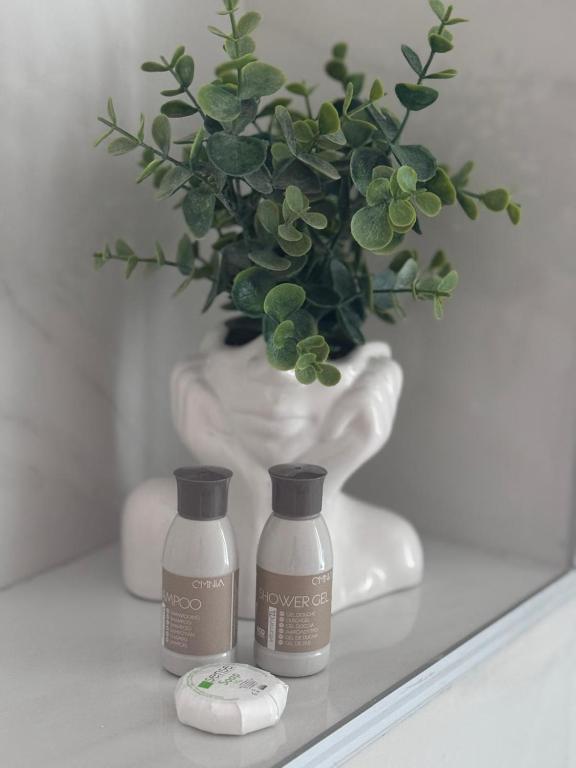 two bottles of soap and a vase with a plant at Apartment in Ploiești 5 in Ploieşti