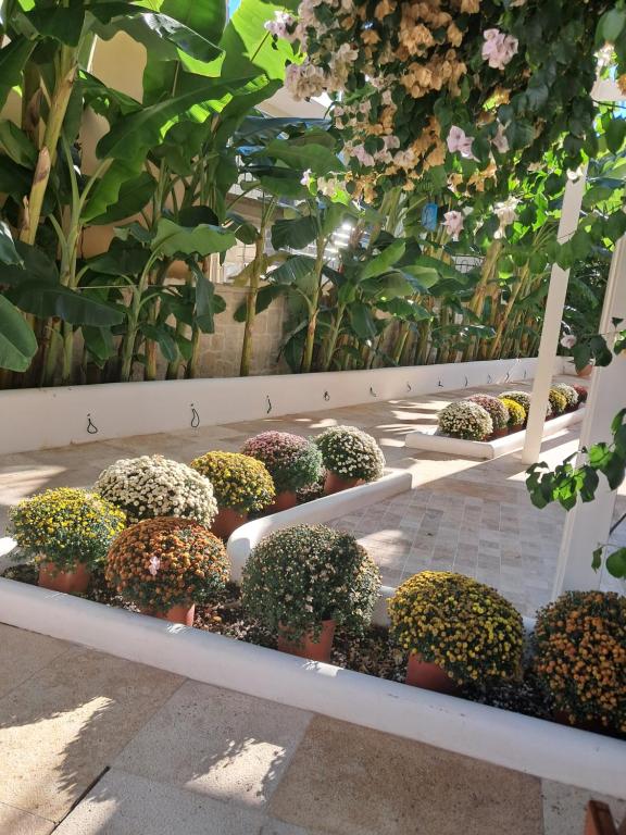 Villa Chrisanthi - 18