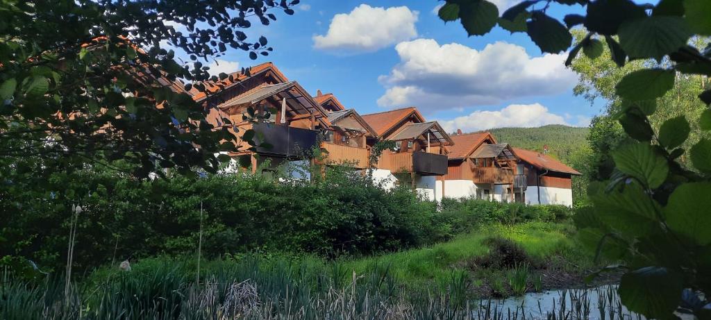 a large house is sitting next to a river at Ferienwohnung Wildgatter in Grafenwiesen