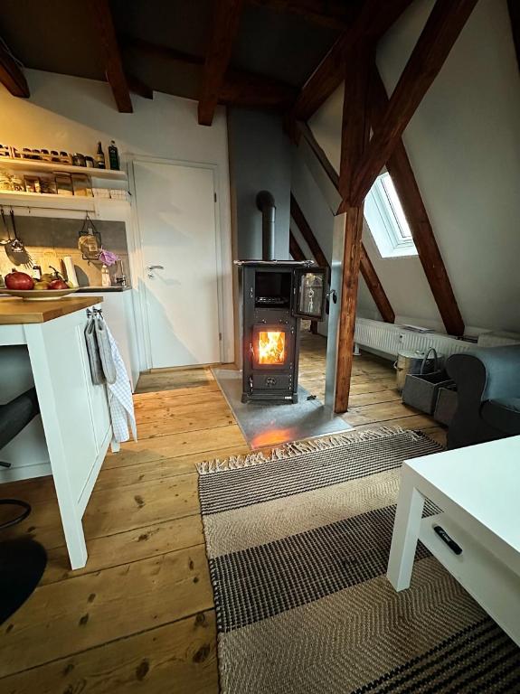a living room with a wood stove in a room at Dornröschen-Loft in Marienberg