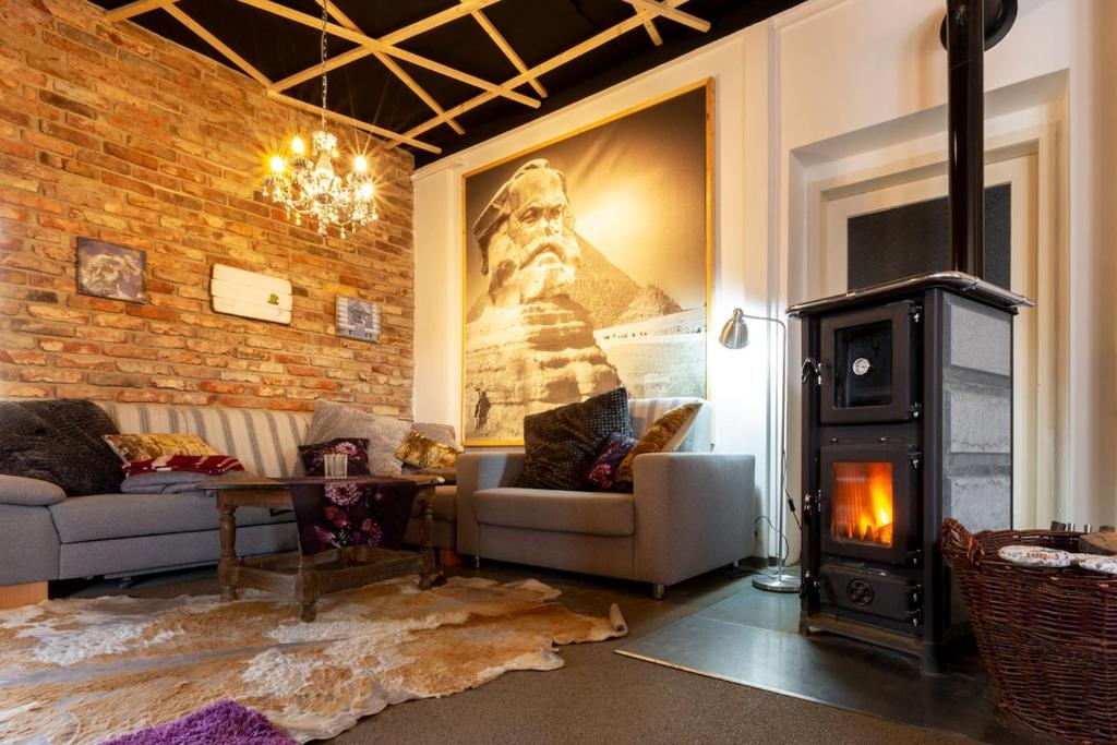 マリエンベルクにあるUrlaubsloft AUGUST'S Schatzkisteのソファと暖炉のあるリビングルーム