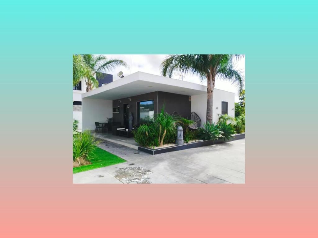 een huis met palmbomen ervoor bij Angkor Wat Village in Puerto Real