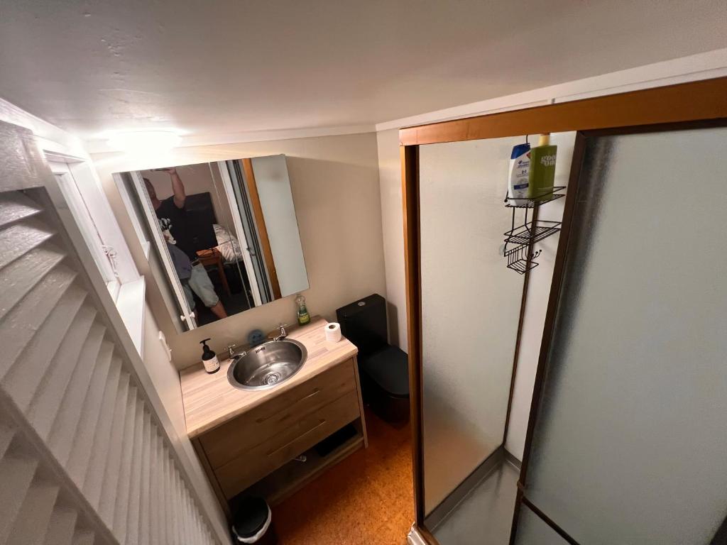 Studio is 2nd door past carport - Resim 8