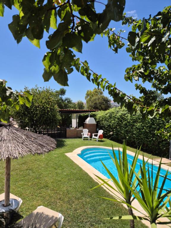 un jardin avec une piscine et une pelouse dans l'établissement Casa Rural Las Bodegas, à Setenil de las Bodegas