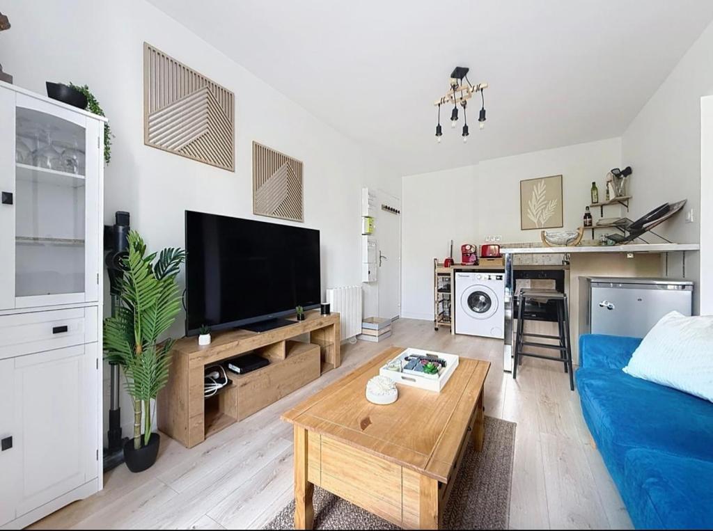 a living room with a couch and a tv and a table at Appartement-Terrasse in Montbéliard