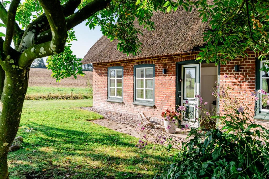 a brick house in a field with a tree at Ferienwohnung Teve - hyggelig & ebenerdig mit Kamin und großem Außenbereich in Steinbergkirche