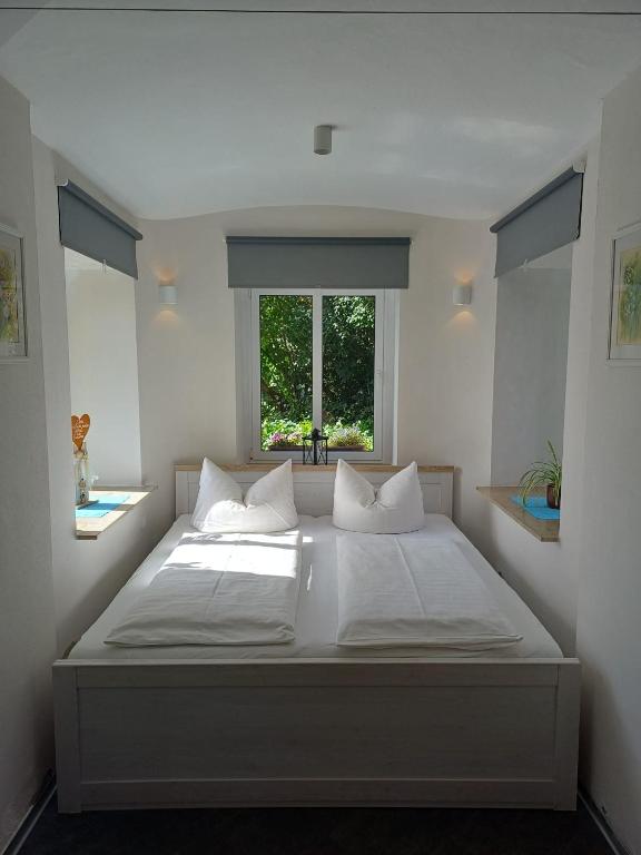 Plantagengut Hosterwitz - 5