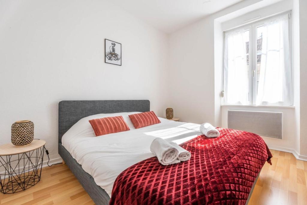 Le Bantz 3 Appartement Mulhouse Wi-Fi – photo 6