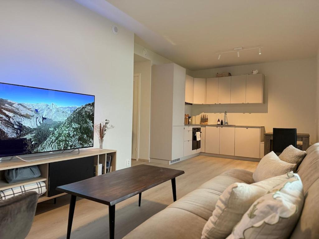 TV a/nebo společenská místnost v ubytování Cozy Apartment Close to Torp, Sandefjord&Tønsberg