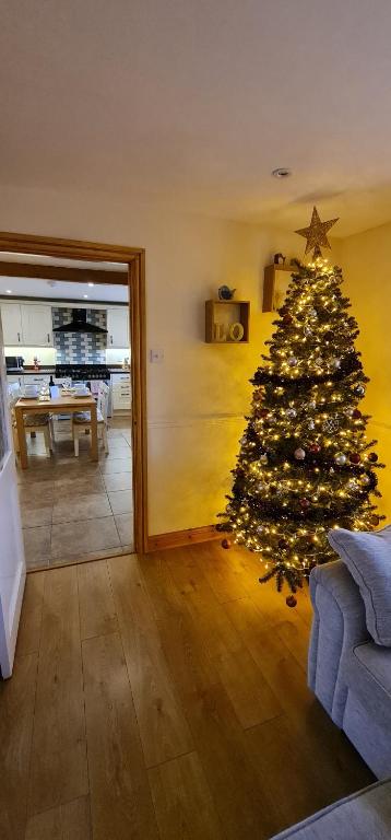 ein Weihnachtsbaum in der Ecke eines Wohnzimmers in der Unterkunft Bennar Isa Cottages Dyffryn Ardudwy in Barmouth