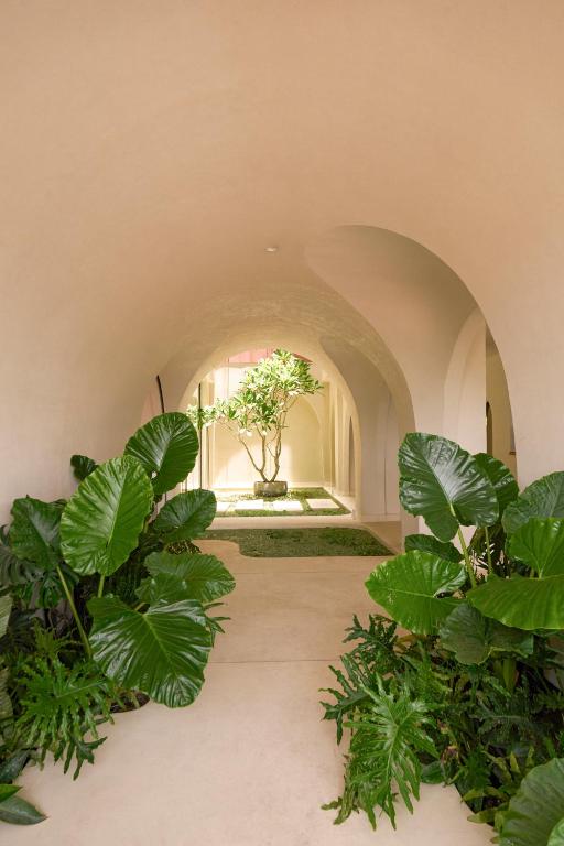 A lush arched hotel passage framed by large tropical plants.