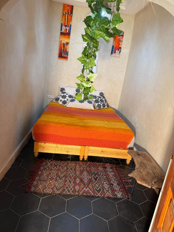 Riad Sarsar Dar dmana - 