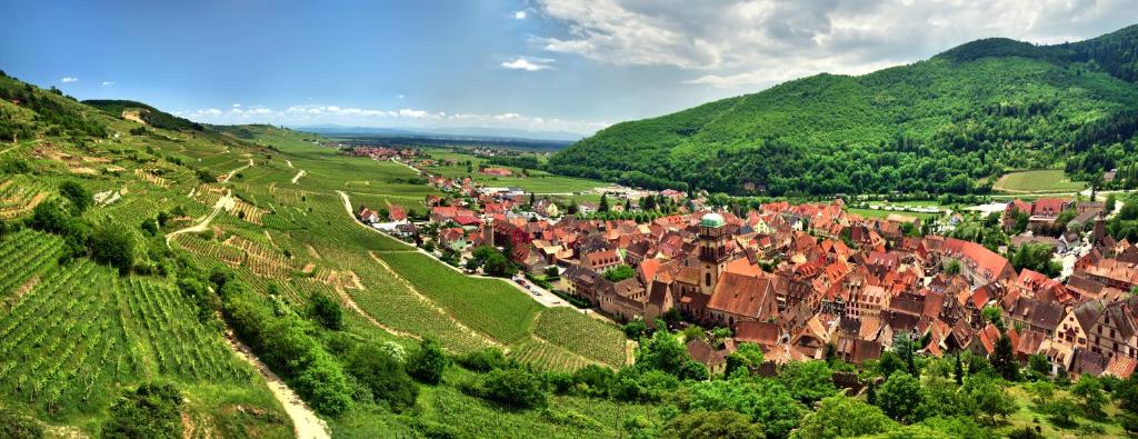 Parenthèse à Eguisheim – photo 5