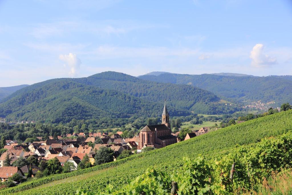 Parenthèse à Eguisheim – photo 23