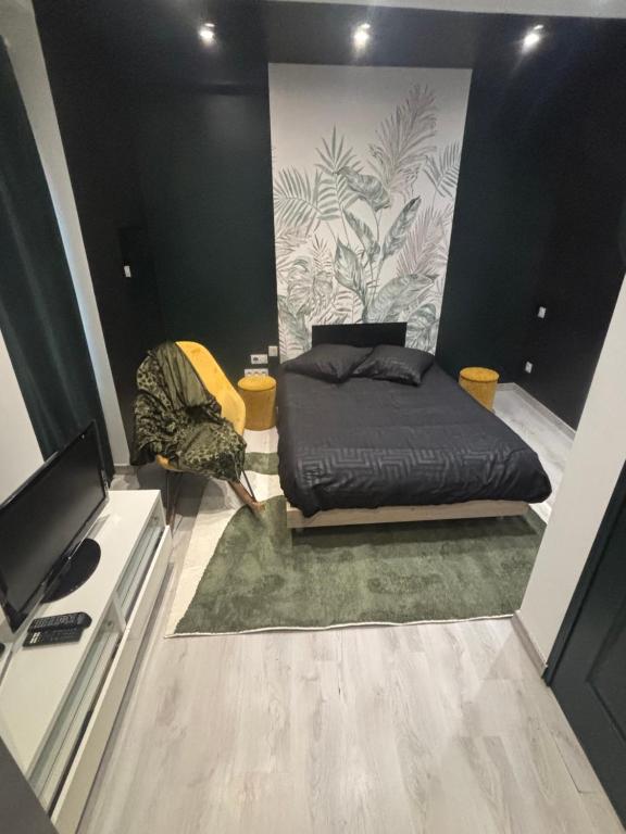 a bedroom with a bed and a tv in it at La bohème C.A in Dijon
