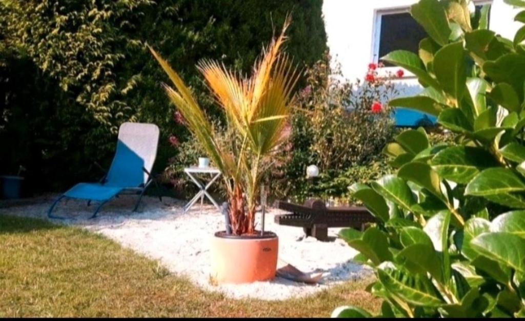 Κήπος έξω από το Ferienwohnung Ebel
