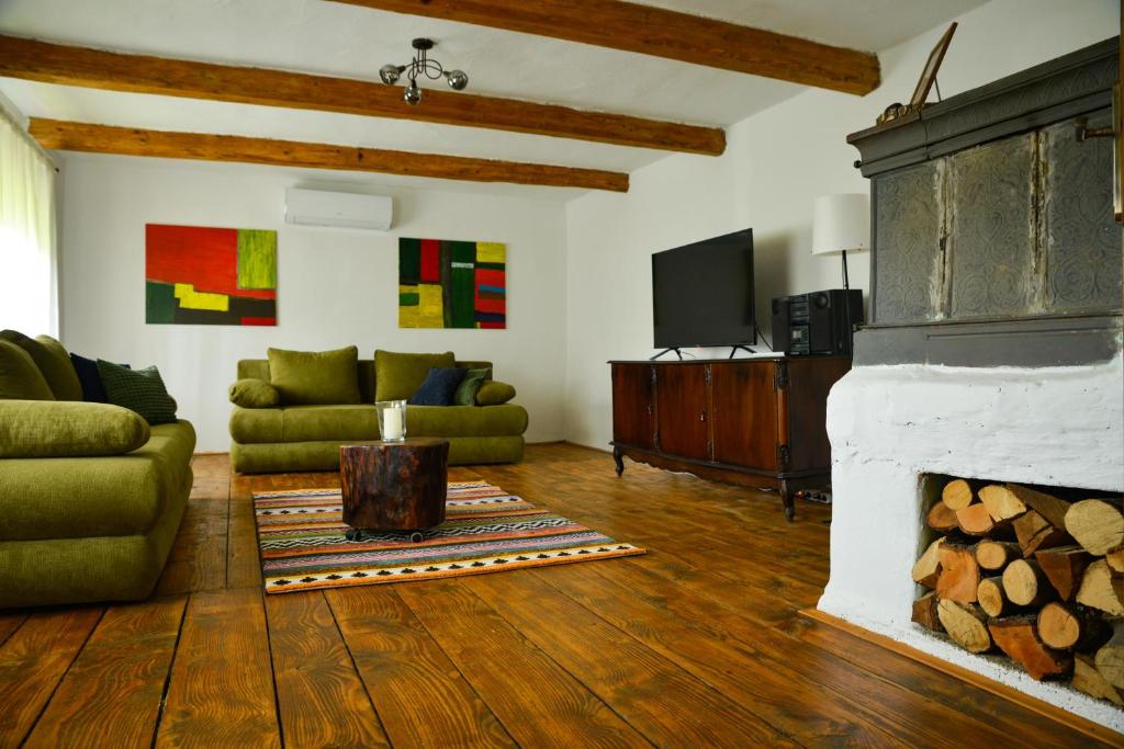 un soggiorno con divano e camino di 1st Truffle House Žumberak a Ozalj