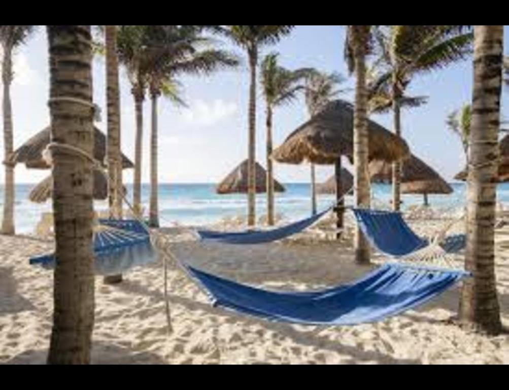 Un paisaje natural cerca del resort