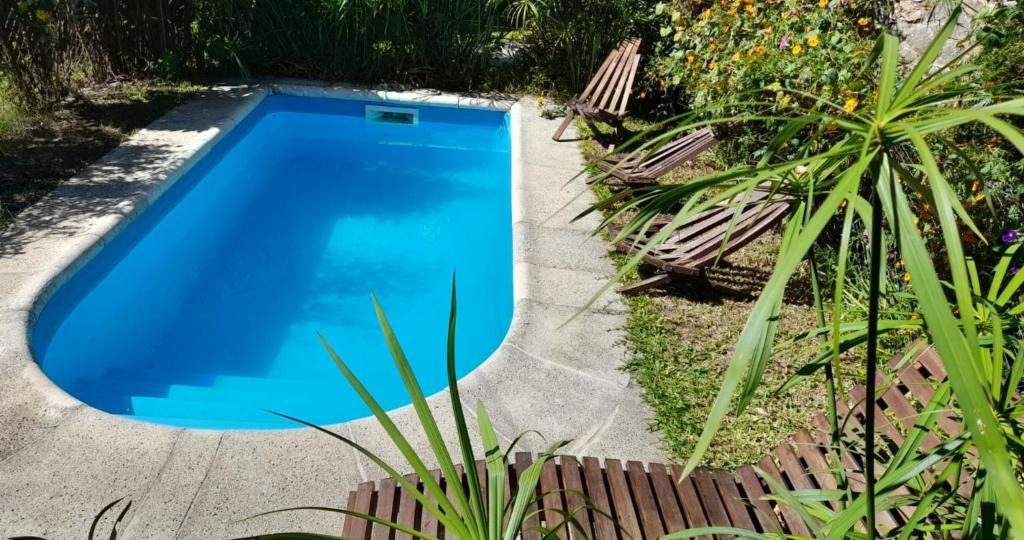 ein blauer Pool in einem Garten mit Pflanzen in der Unterkunft Cabañas La Petunia in Santa Rosa de Calamuchita