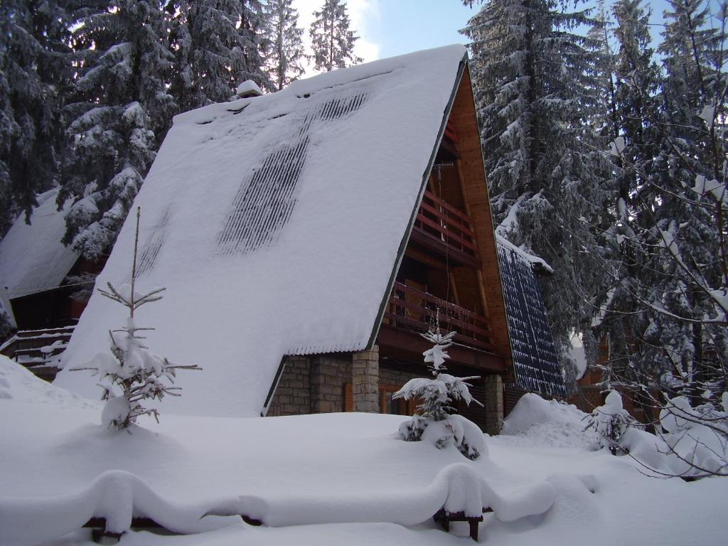 eine schneebedeckte Hütte im Wald mit Bäumen in der Unterkunft Vikendica Luna in Gornja Šišava